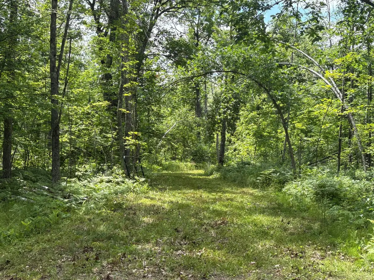 599XX Tamarack River Rd, Sandstone, MN 55072 - #1