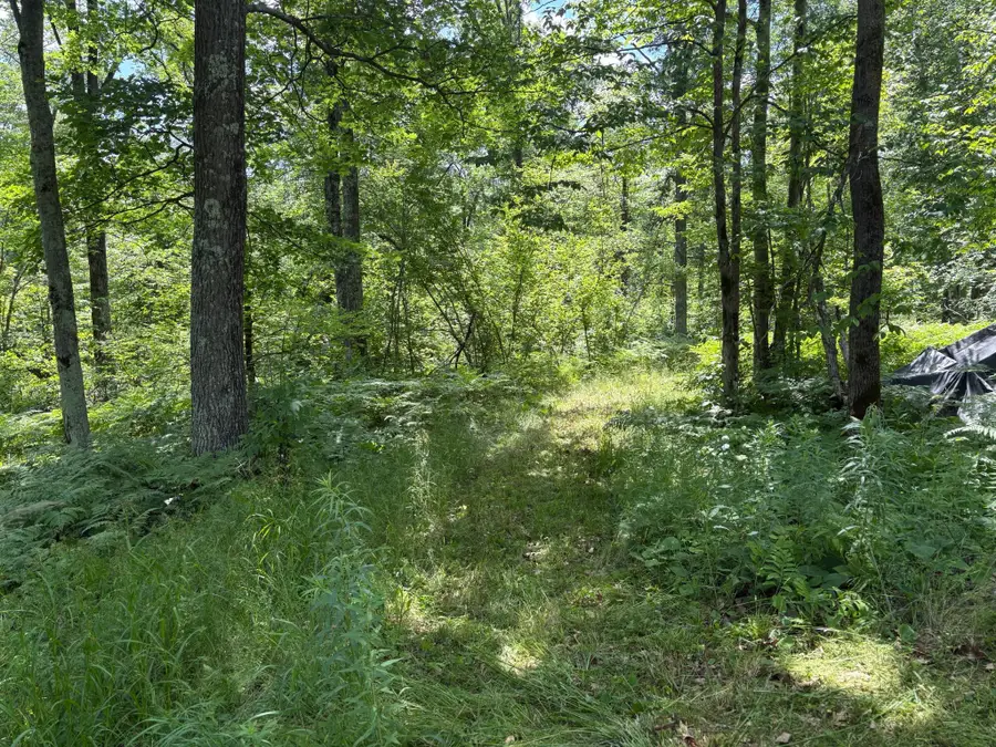599XX Tamarack River Rd, Sandstone, MN 55072 - #2