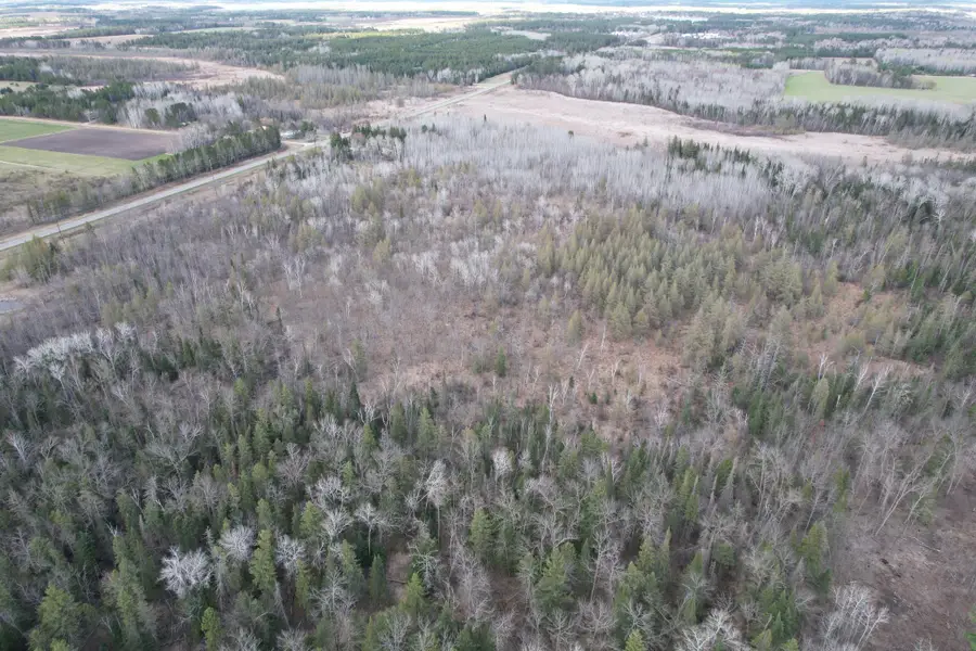 TBD State Highway 87, Menahga, MN 56464 - #3