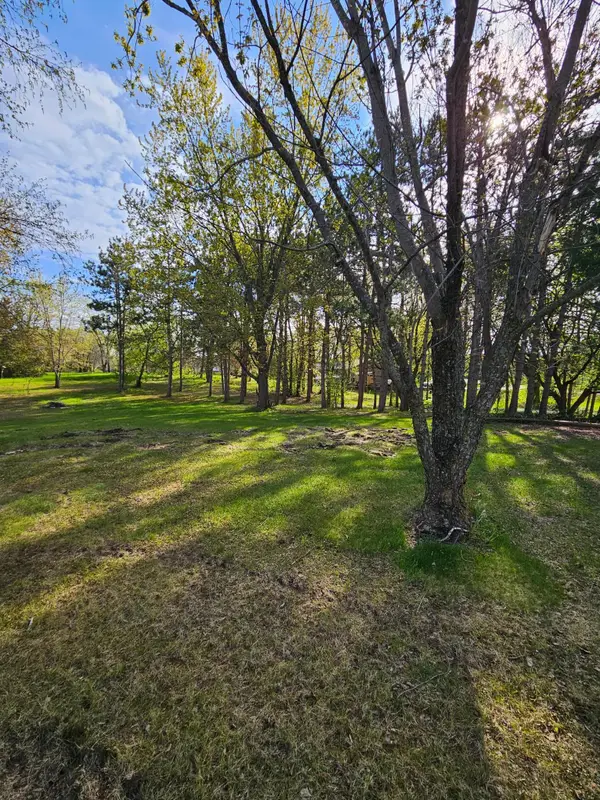 97XX Ireland Avenue Nw, Annandale, MN 55302