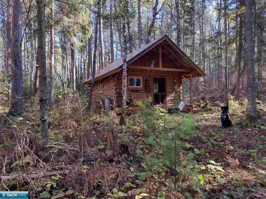 TBD Fr 606, Orr, MN 55771 - #2