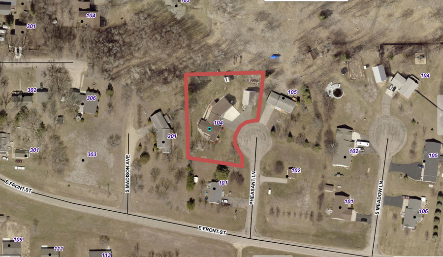 104 Pheasant Lane, Battle Lake, MN 56515 - #2
