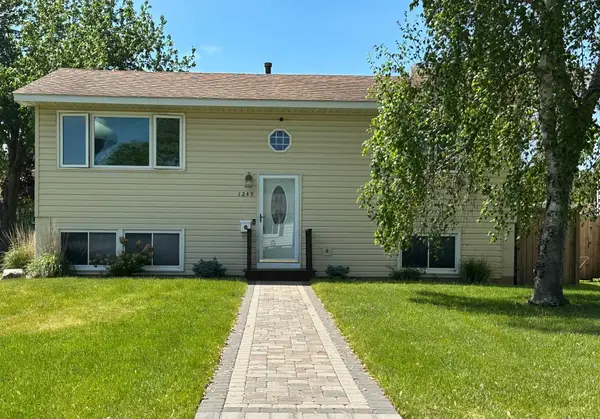 1249 Ashland Avenue, Saint Paul Park, MN 55071