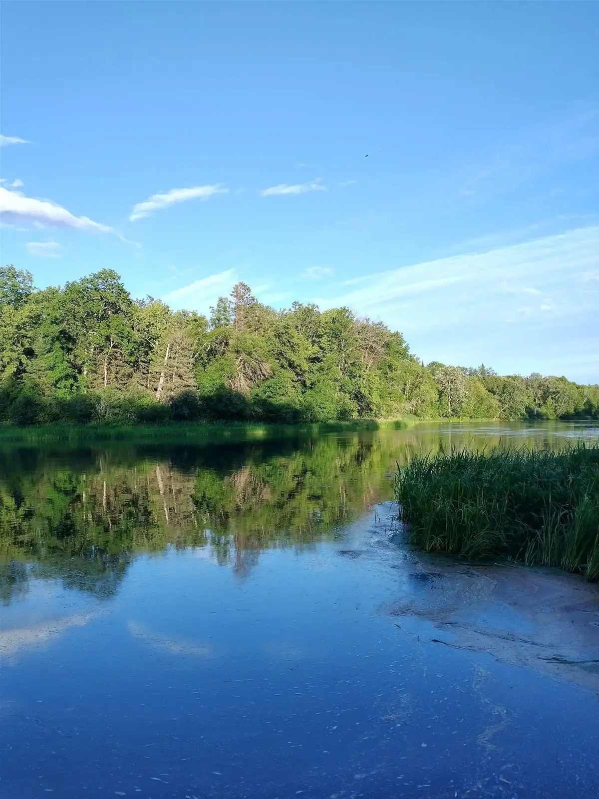 TBD County Rd 14, Nimrod, MN 56478 - #1