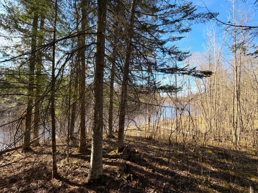 Lot B County Road 79, Littlefork, MN 56653 - #3