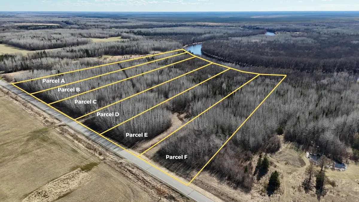 Lot C County Road 79, Littlefork, MN 56653 - #1