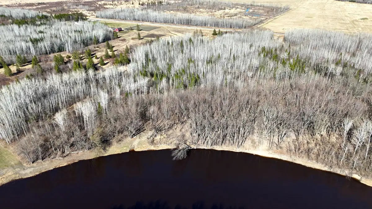 Lot F County Road 79, Littlefork, MN 56653 - #1