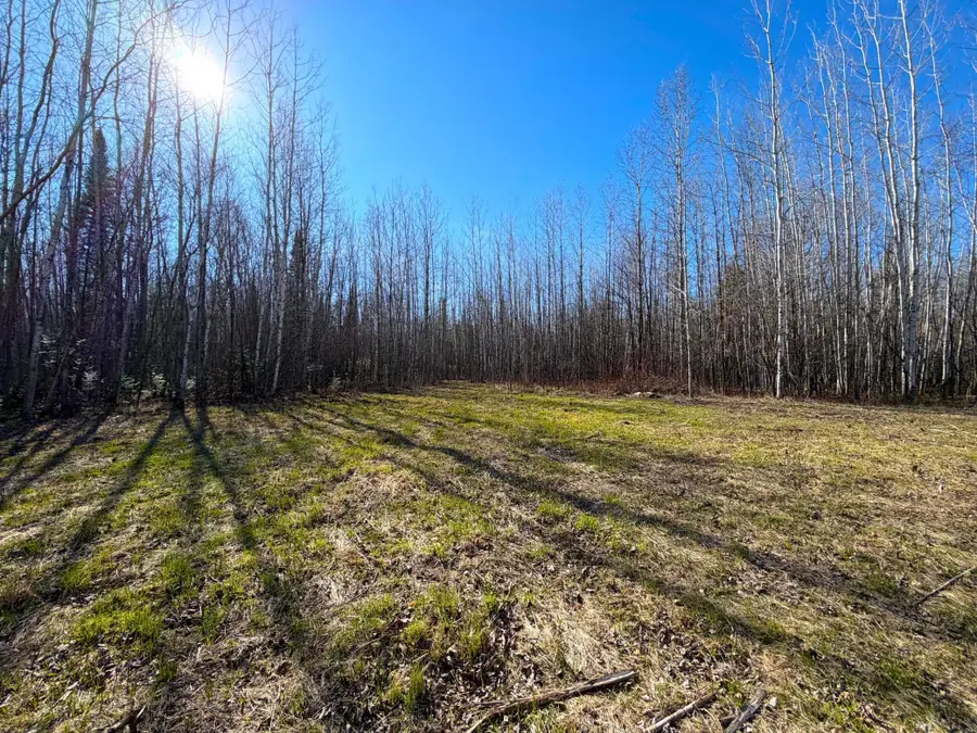 Lot F County Road 79, Littlefork, MN 56653 - #3