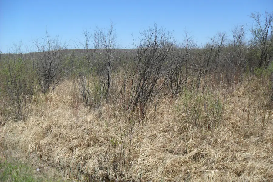 35xxx 100th Ave., Onamia, MN 56359 - #2