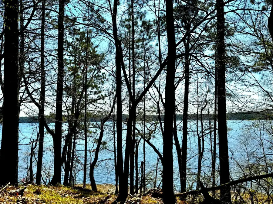 TBD Rognaldson Road, Brainerd, MN 56401 - #2