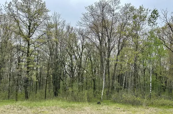 TBD Jewel Road, Little Falls, MN 56345