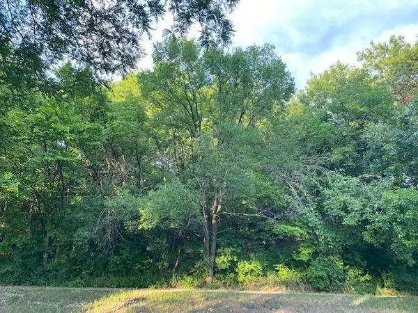 18 Bates Avenue, Saint Paul, MN 55106