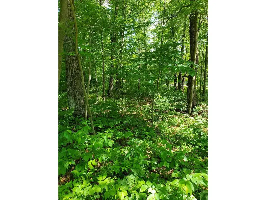 TBD 330th St, Motley, MN 56466 - #1