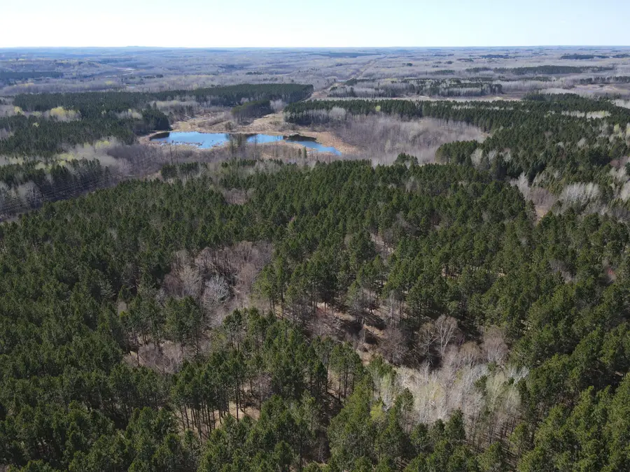 TBD (164.21AC) Maple Grove Road, Cloquet, MN 55720 - #3