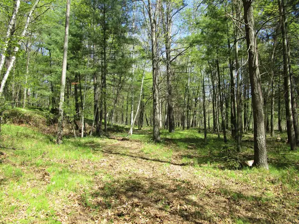 XX S Long Lake Rd, Siren, WI 54872