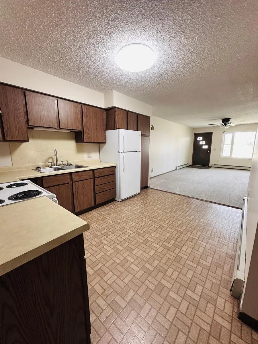330 Jefferson Avenue, Pine River, MN 56474 - #3