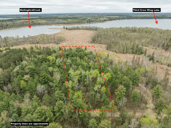 TBD Chokecherry Drive, Nevis, MN 56467