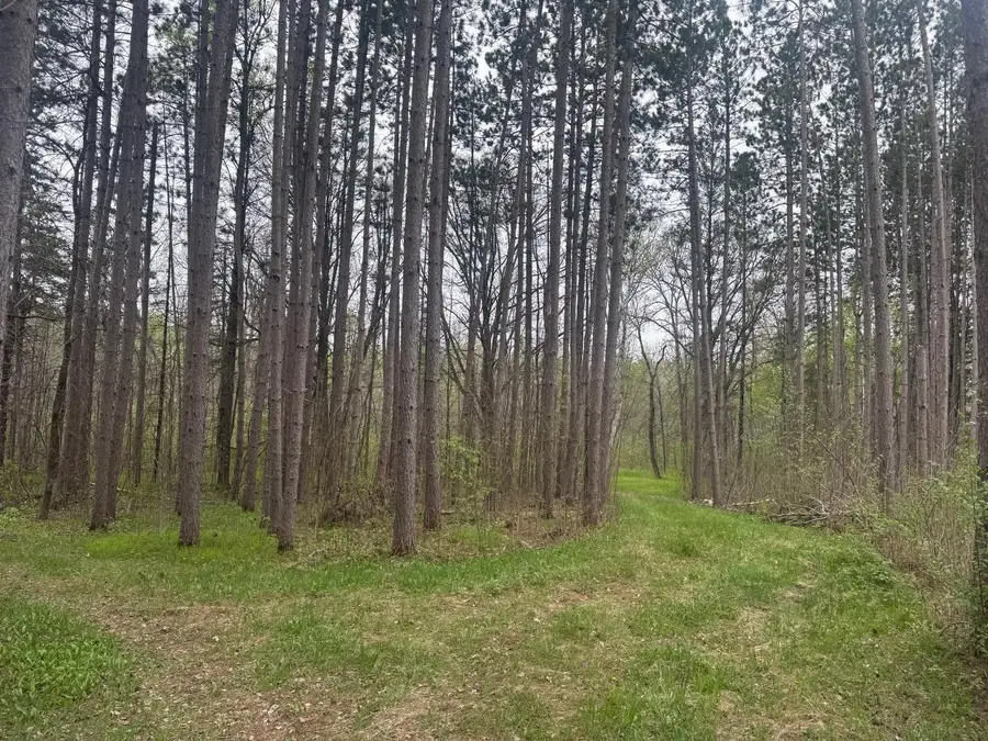 18831 124th Lane, Williams, MN 56350 - #2