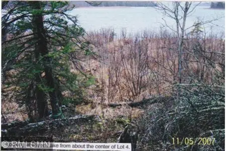 6xxxx Moose Bay Trail, Northome, MN 56661