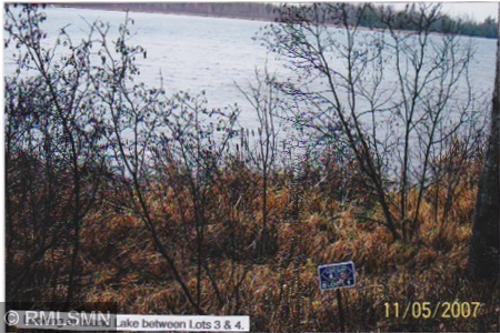 6xxxx Moose Bay Trail, Northome, MN 56661 - #2