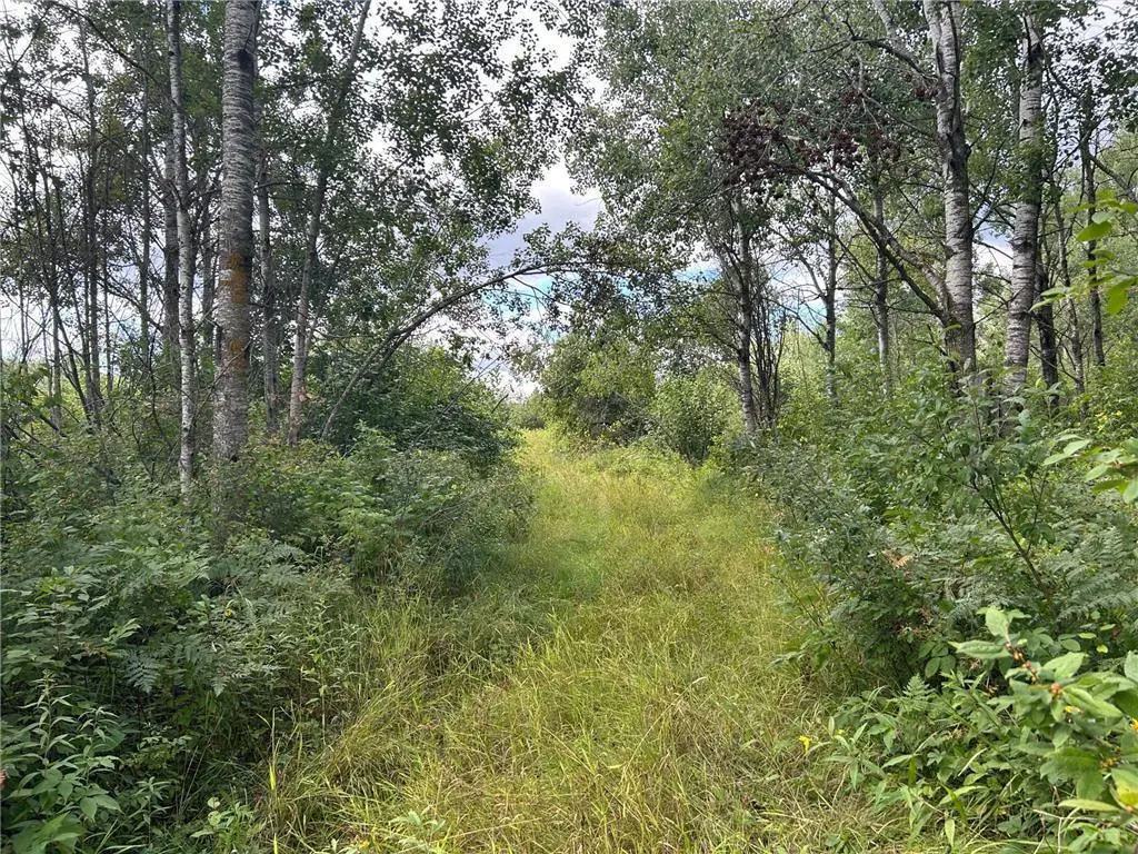TBD2 Duncan Road, Sandstone, MN 55072 - #1