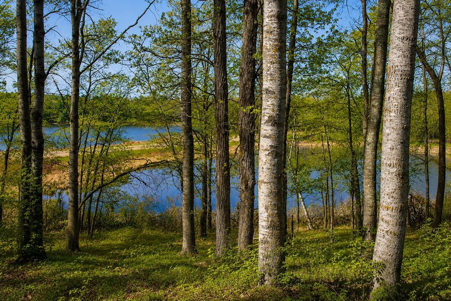 13579 Hillcrest Lane Sw, Pillager, MN 56473 - #3