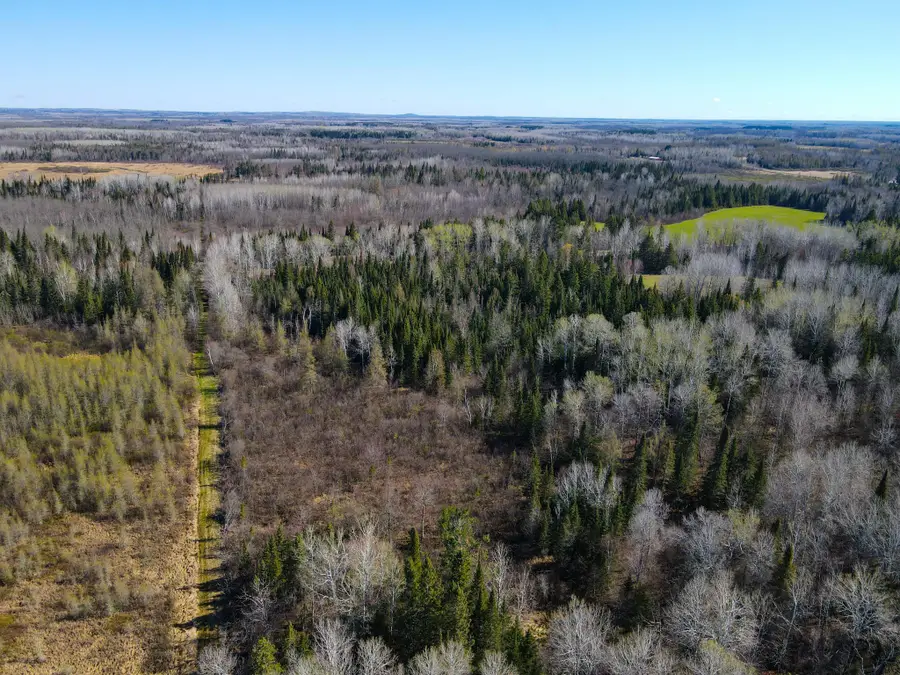 Parcel A Township Road D, Wawina, MN 55736 - #2