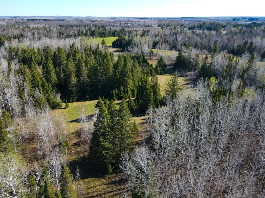 Parcel D Township Road D, Wawina, MN 55736 - #3