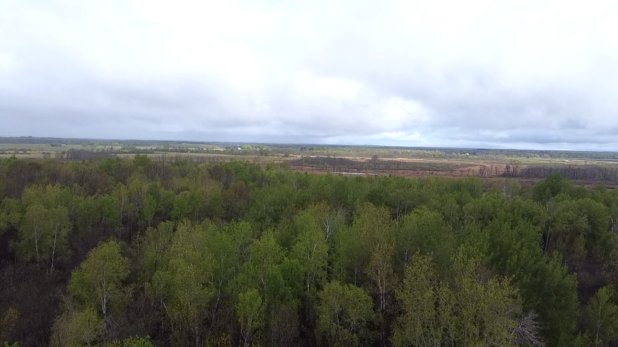 010071303 State Highway 210, Aitkin, MN 56431 - #2