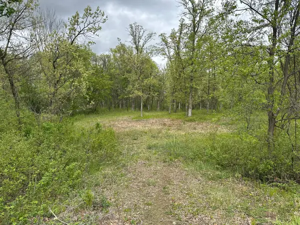 TBD NW 301st Avenue, Princeton, MN 55371