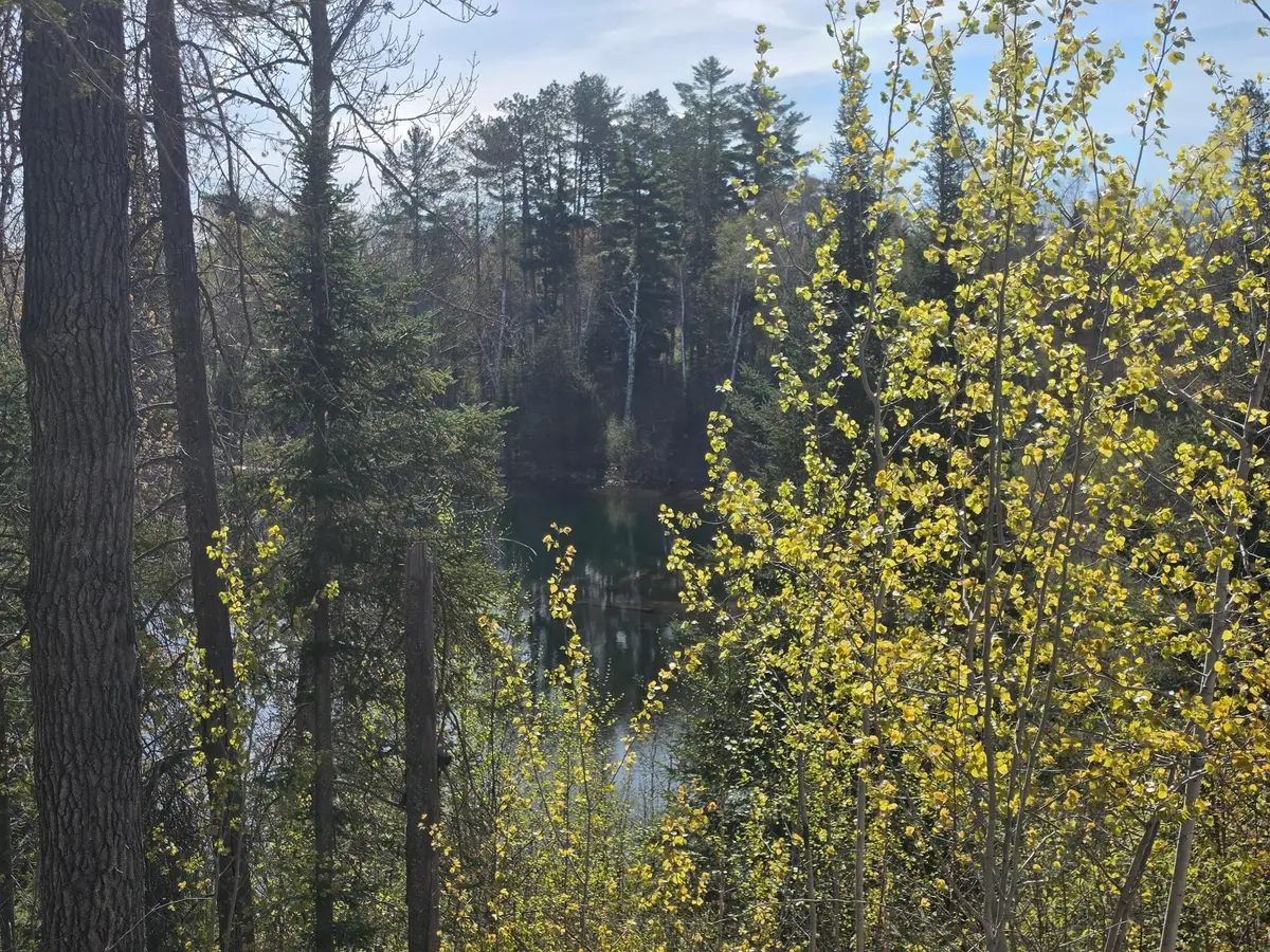 TBD S Thunder Lake Drive Ne, Remer, MN 56672 - #1