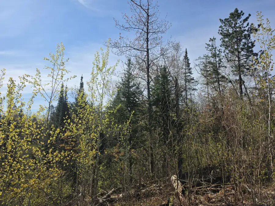 TBD S Thunder Lake Drive Ne, Remer, MN 56672 - #2