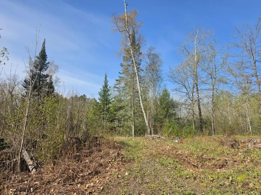 TBD S Thunder Lake Drive Ne, Remer, MN 56672 - #3