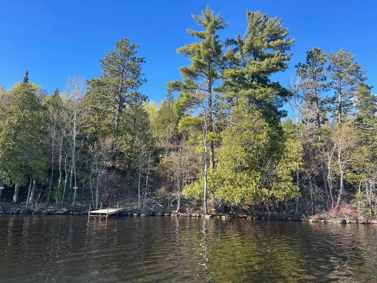 95642 Pine Island, Tower, MN 55790 - #1