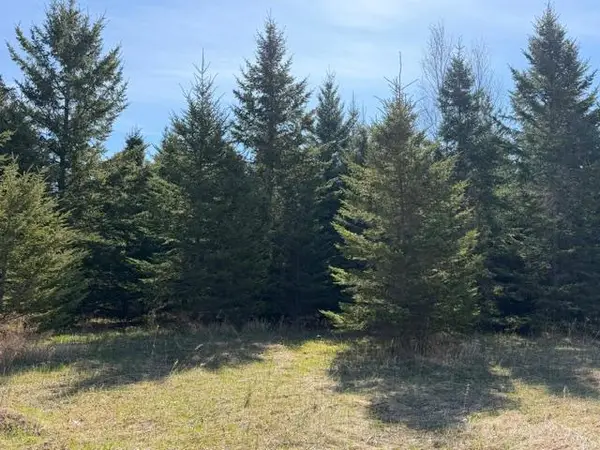 TBD 66th Avenue Ne, Remer, MN 56672