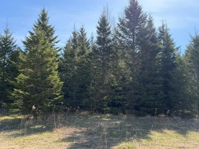 TBD 66th Avenue Ne, Remer, MN 56672 - #2