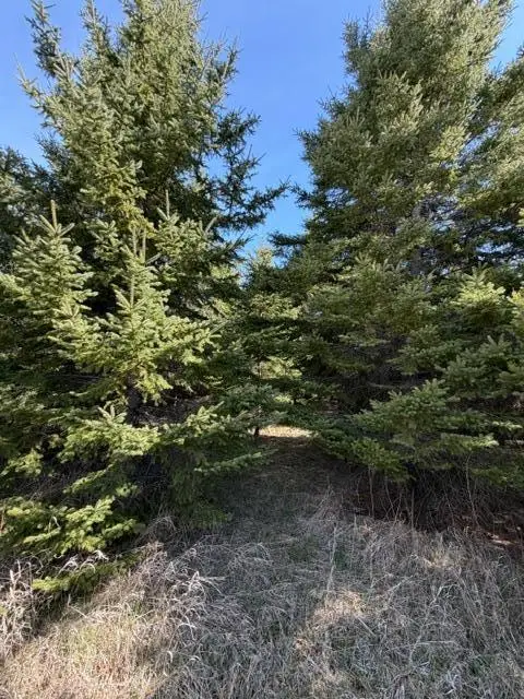 TBD 66th Avenue Ne, Remer, MN 56672 - #3