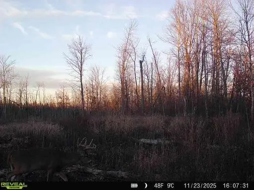 xxx Fleming Logging Road, Hinckley, MN 55037