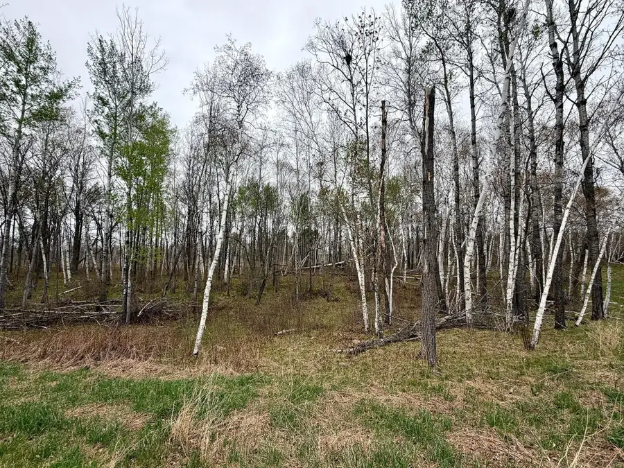 L18B1 Acorn Ridge Road Nw, Bemidji, MN 56601 - #3