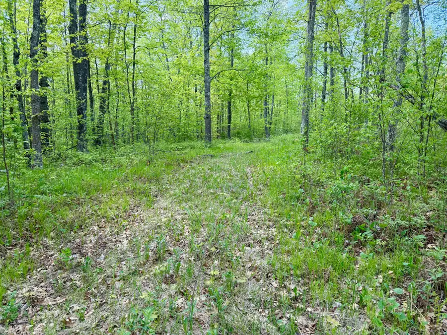 9072 County 8 Ne, Remer, MN 56672 - #2