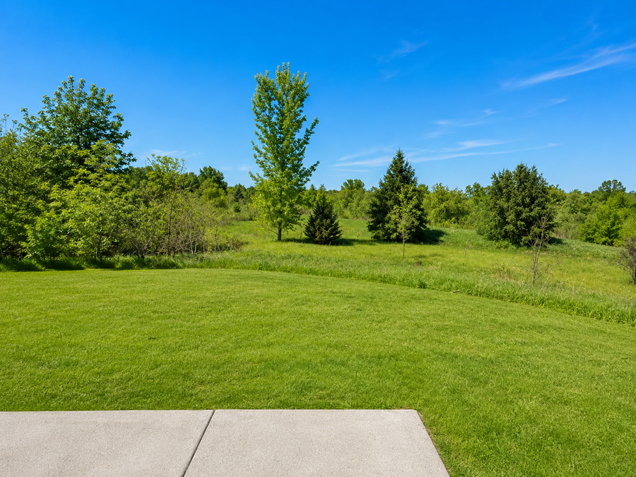 19698 Idealic Avenue, Lakeville, MN 55044 - #3