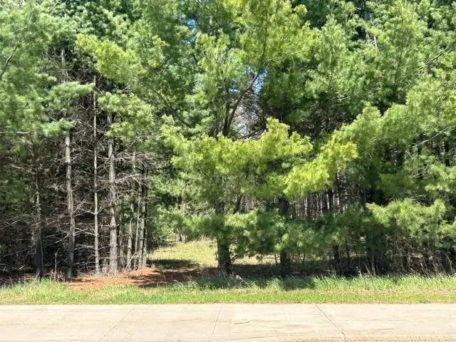 xxx Ridgewood Road, Grand Rapids, MN 55744 - #2