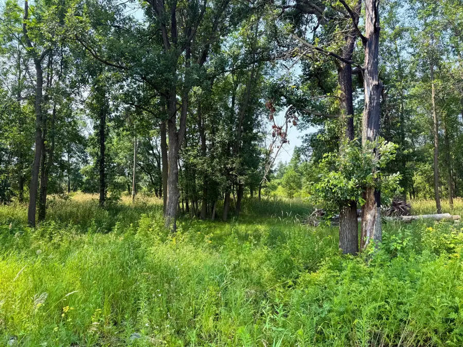 7241 Us Highway 169, Garrison, MN 56450 - #3