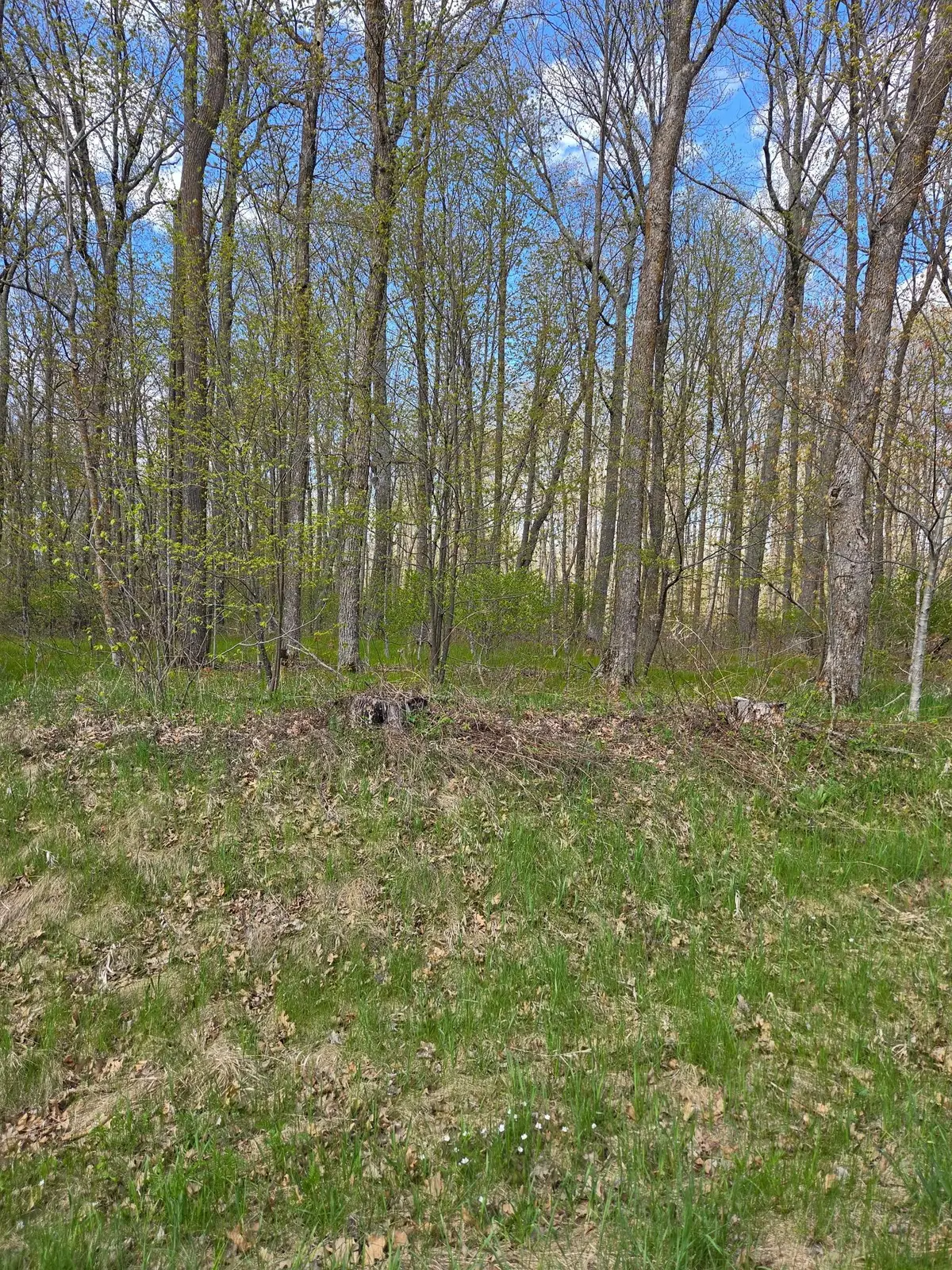 TBD Nicholas St, Grand Rapids, MN 55744 - #1