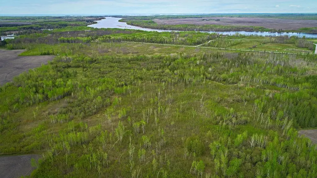 TBD State Hwy 172 Cliff, Baudette, MN 56623 - #1