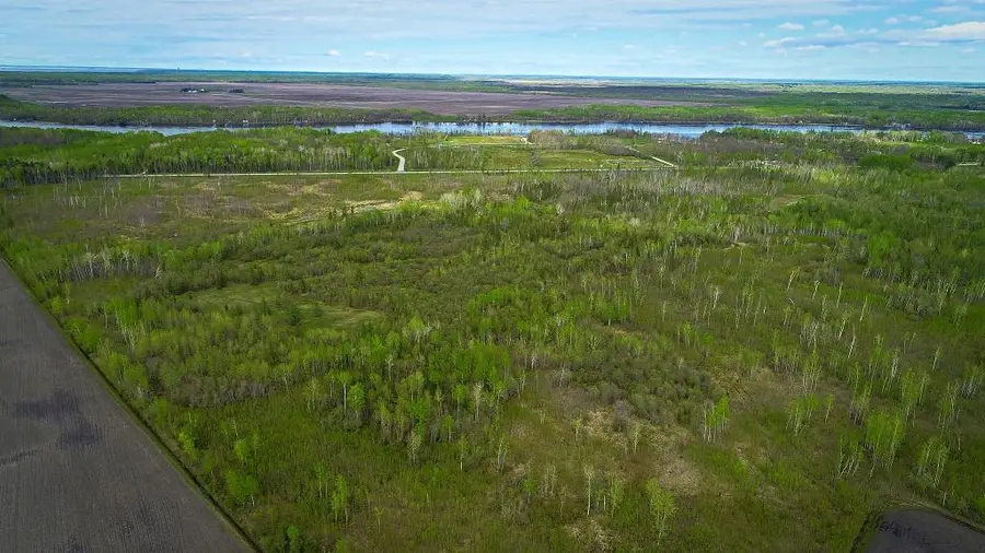 TBD State Hwy 172 Cliff, Baudette, MN 56623 - #2