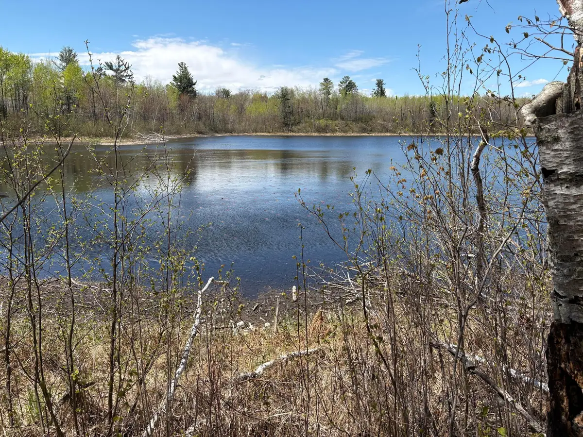 854x W Chub Lake Rd, Carlton, MN 55718 - #1