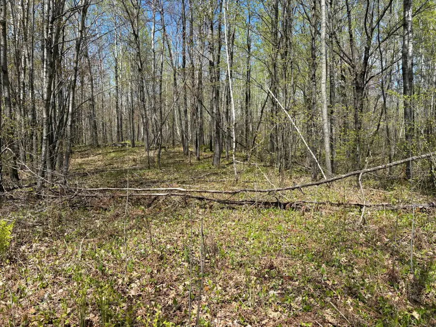 854x W Chub Lake Rd, Carlton, MN 55718 - #3
