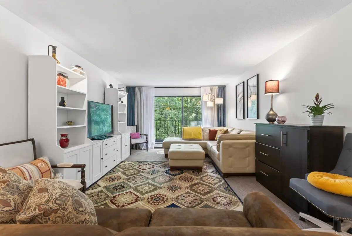 215 Barry Avenue S #216, Wayzata, MN 55391 - #1