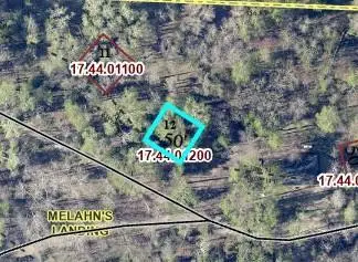 TBD Necktie Lane, Lake George, MN 56458 - #1